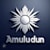 Amuludun S