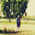 Ahmad