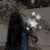 Shameen Irfan