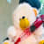U.g.imasha N