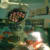 Hashir