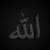 Khaled Z