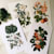 phons pins