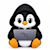 Pengi