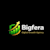 Biigfera