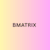 Matrix B