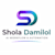 Shola damilol