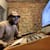 Gats Audio