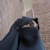 Habiba Noor