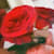 syeda_namra