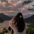 Sadia chohan