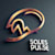 Sales Pulse