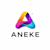Aneke P