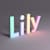 lily