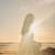 VedicTruths