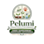 Oyeyemi pelumi