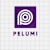Pelumi D