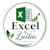 ExcelByLaiba