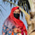 Pakizaghumman G