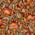 SPAP