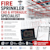 Festus