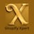 Shopify X
