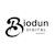 Biodun A
