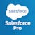 Salesforce Pro