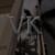 Vucetic K