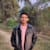 Ponga