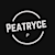 Peat R