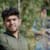 Hamaad Anwar