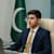 Zain Mughal