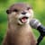 Otter O.