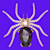 Irorunye