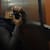 Moustafa