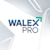 Walex P