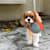 gtlemming
