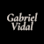 Gabriel Vidal