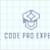 Code P