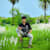 Sahil