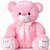CuddleWorks Des