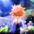 Emil