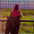 Thamina Haque 