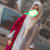 Aqsa-developer