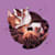 katze_fe