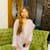 Iqra Z