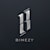 Bihezy
