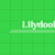 Lily D