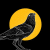 Black Crow